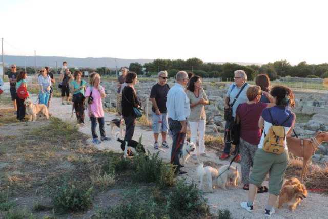 ''Insieme ovunque'': a Bari padroni che portano i cani al museo, ai concerti e a cinema
